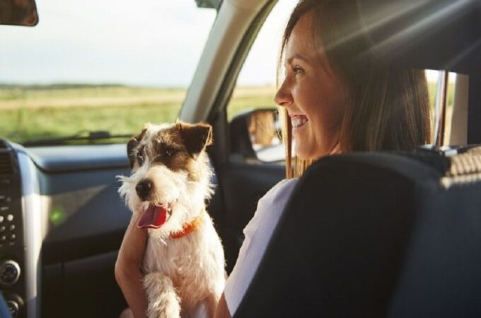 Hit the Road with Fido: Your Ultimate Pet-Friendly RV Camping Guide!