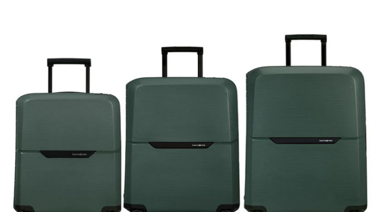 The Ultimate Colour Guide: How Bright Luggage Reduces Lost Bag Stress